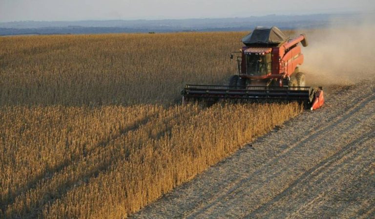 Exportaciones argentinas crecieron 9,1 % en febrero: Indec
