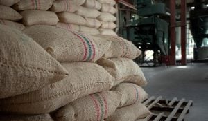 MinAgricultura publicó borrador de resolución para darle la libertad regulada del precio de arroz paddy verde