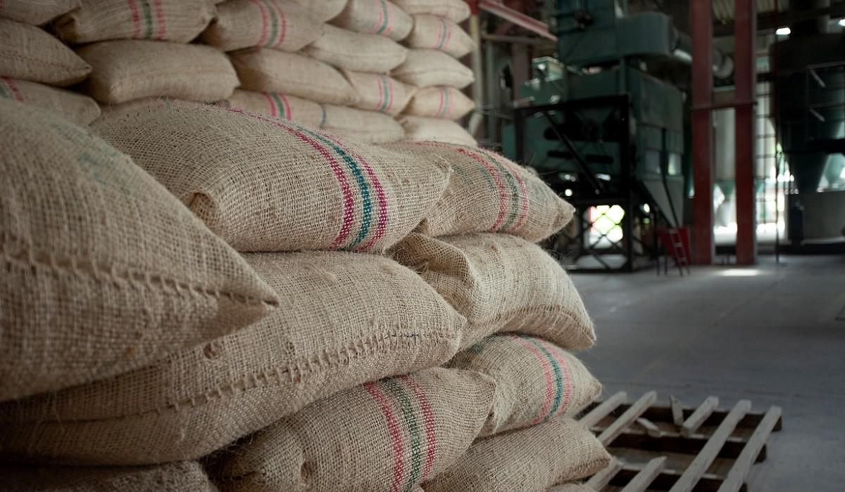 produccion-de-arroz