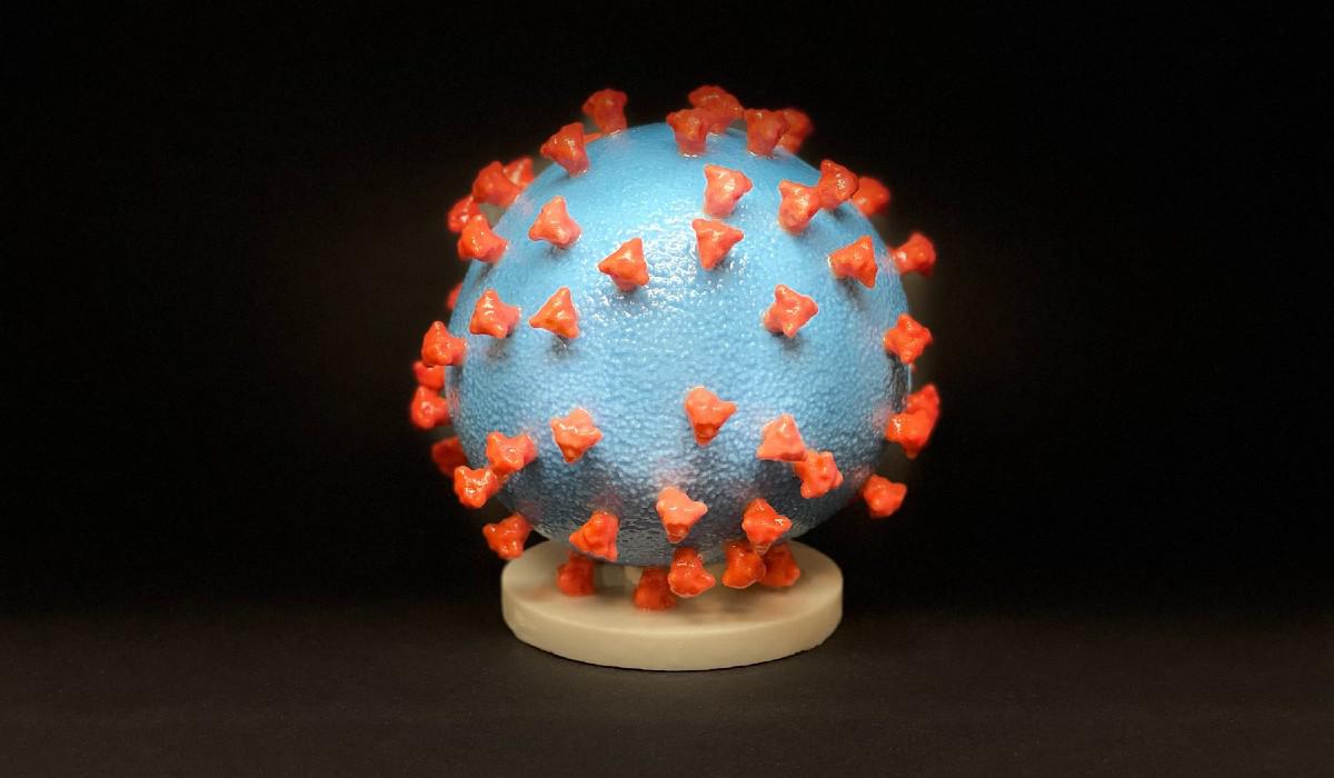 coronavirus_covid_19_national_health_institute