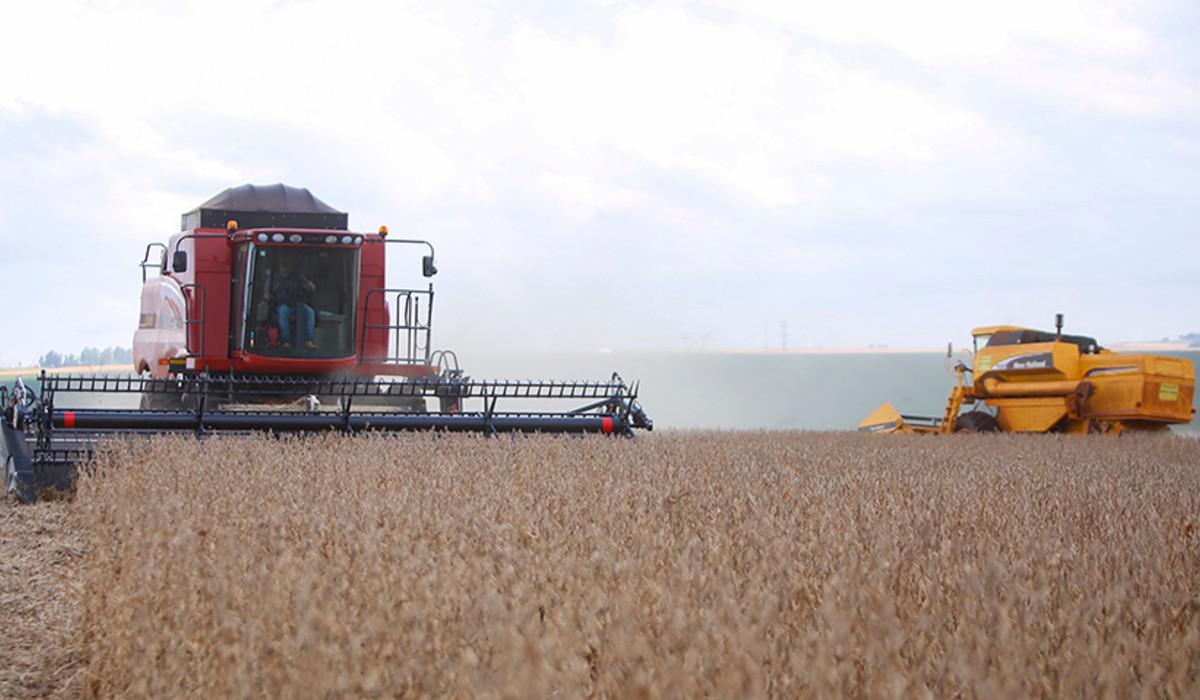 cosecha_agricultura