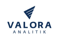 www.valoraanalitik.com