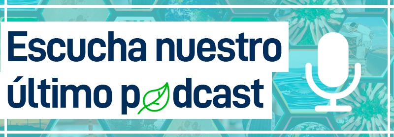 Podcast | Comunidades solares, alternativa para mitigar el cambio climático