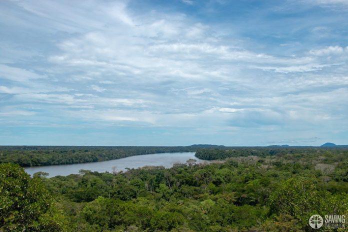 Amazonia