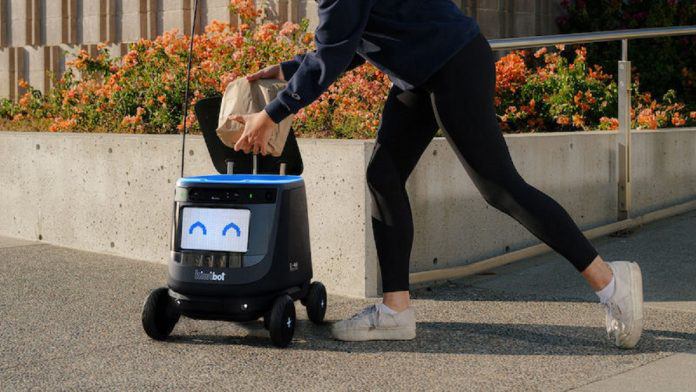kiwibot
