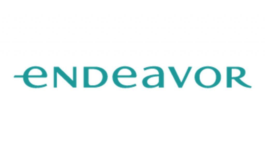 Búsqueda de Capital Endeavor