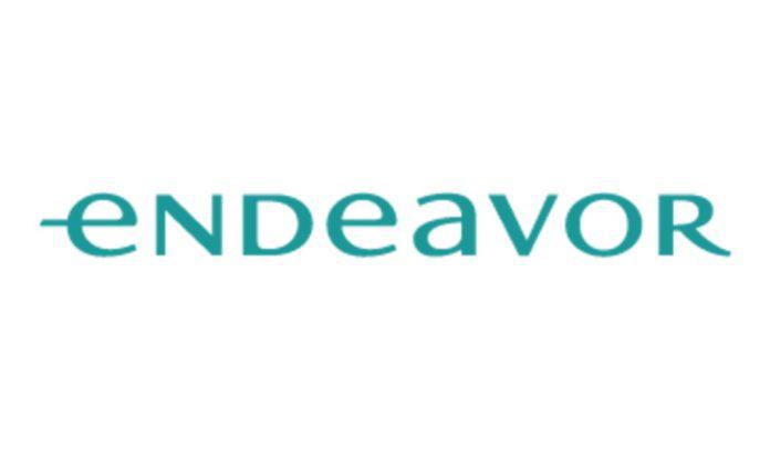 endeavor