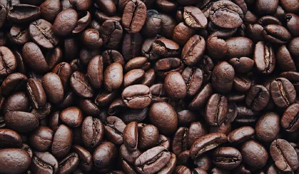 Stars Coffee llega a Rusia en reemplazo de Starbucks ¿Hay bonanza cafetera en Colombia?