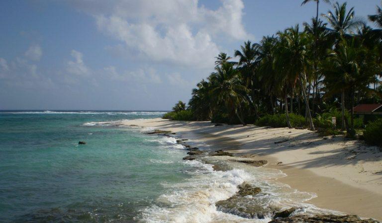 HP Inc. y 4ocean se unen para extraer 50 toneladas de plástico del mar Caribe