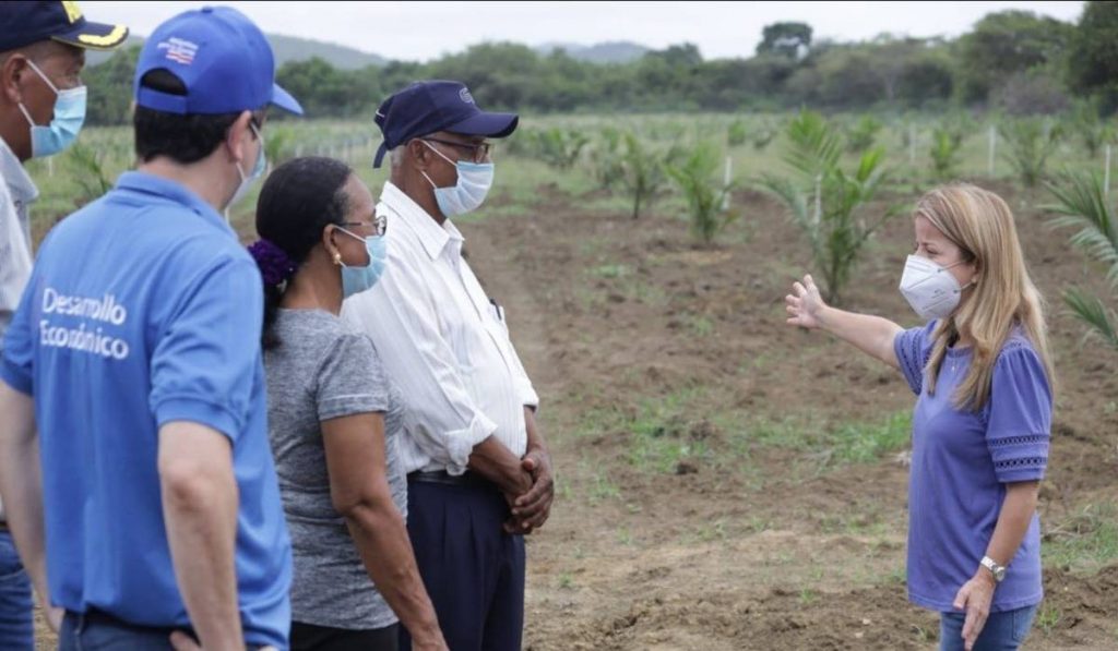 Gobernación del Atlántico impulsa palma de aceite para revolucionar agro en el departamento