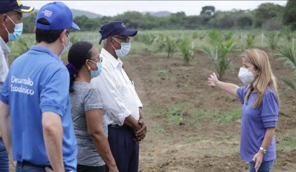 Gobernación del Atlántico impulsa palma de aceite para revolucionar agro en el departamento Gobernación del Atlántico impulsa palma de aceite para revolucionar agro en el departamento