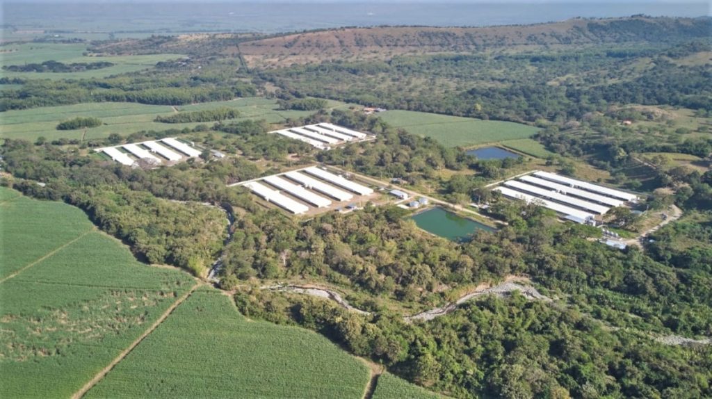 Cargill inaugura Granja de aves reproductoras liderada 100% por mujeres en Colombia