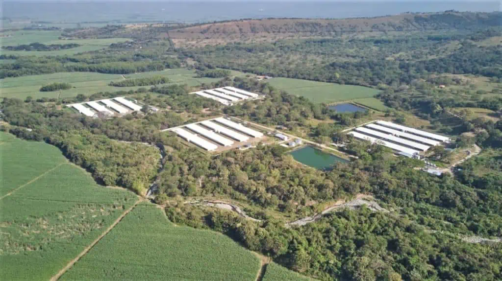 Cargill inaugura Granja de aves reproductoras liderada 100% por mujeres en Colombia Cargill inaugura Granja de aves reproductoras liderada 100% por mujeres en Colombia