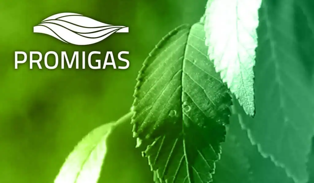Promigas reportó restablecimiento de gas natural en La Guajira (Colombia) Promigas reportó caída en su utilidad neta del primer semestre de 2025: quedó en $666.480 millones