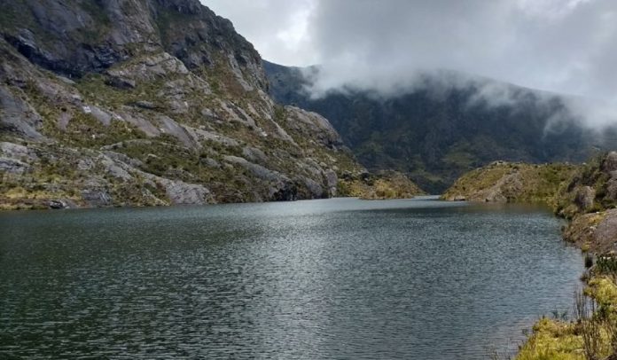 Colombia gana pleito a minera Red Eagle por operaciones en Páramo de Santurbán