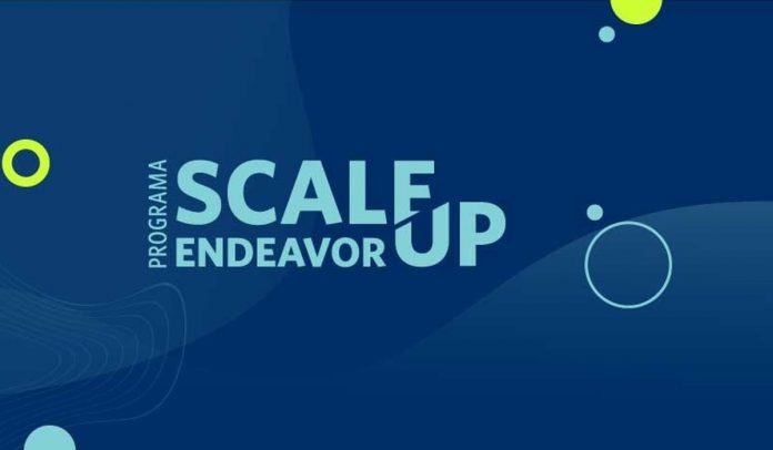 scaleup