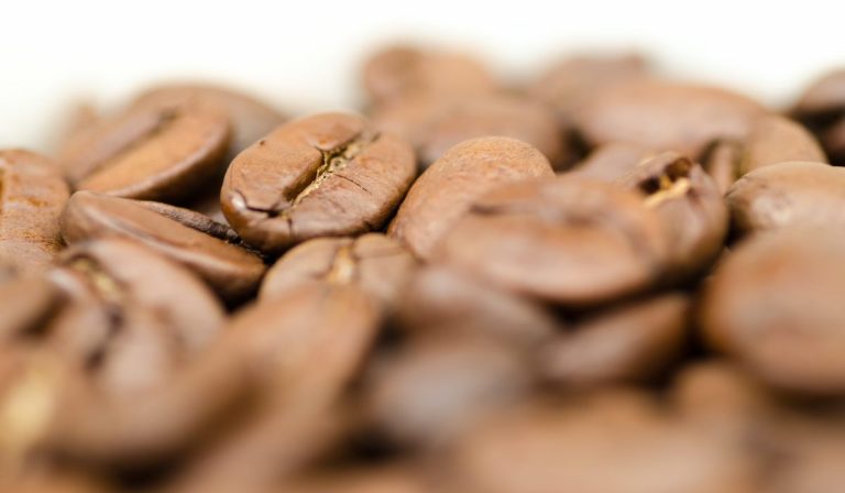 Caficultura colombiana apuesta por ser 100 % sostenible a 2027