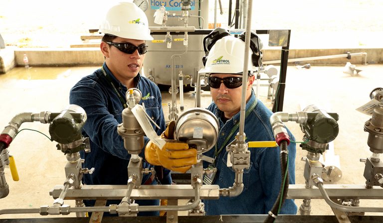 Declaración de renta para los trabajadores independientes en Colombia