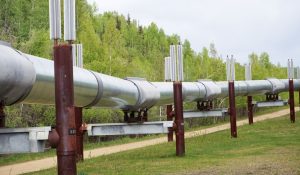 USO Nacional y presidente de Ecopetrol desmienten posible venta de Cenit, filial de la petrolera