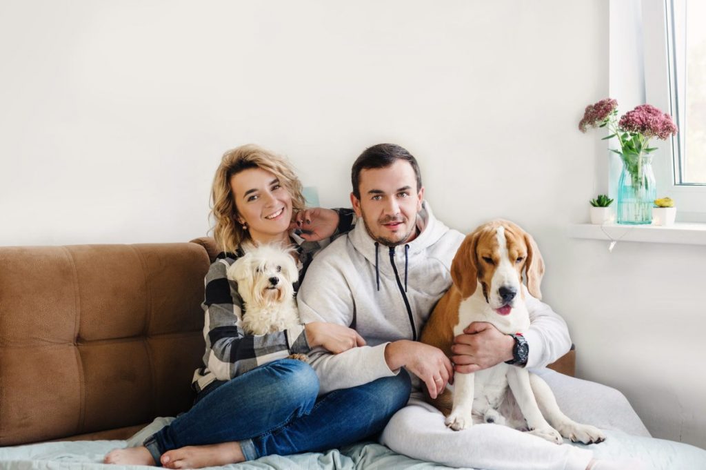 ¿Cómo convertirse en un verdadero pet friendly?
