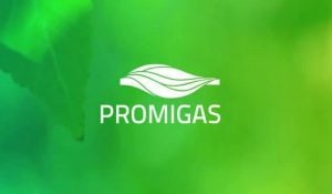 Home - Valora Analitik Promigas