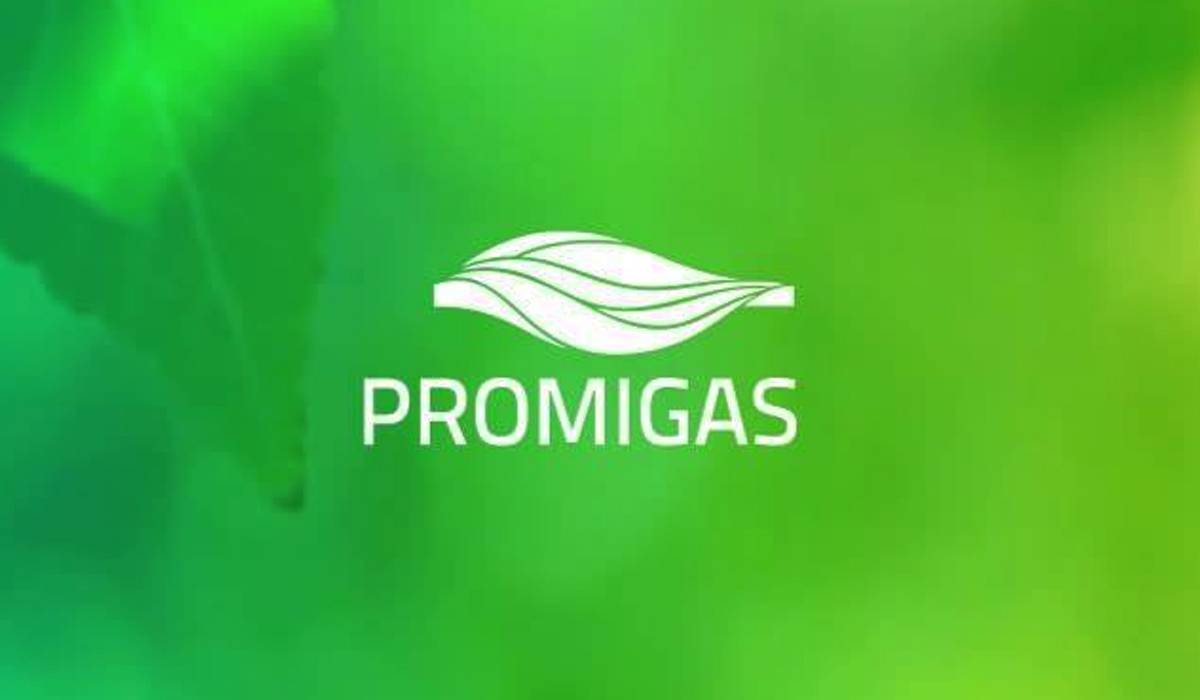 Promigas