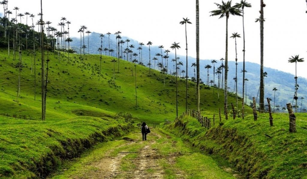 Colombia aprueba los primeros Proyectos Turísticos Especiales: crearán 10.600 empleos