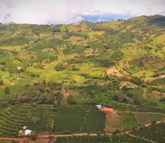 Se archivó trámite de licenciamiento ambiental del proyecto Quebradona de AngloGold Ashanti en Antioquia