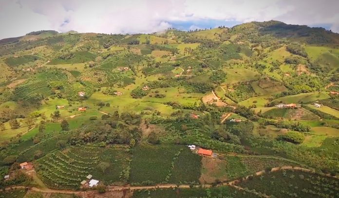 Se archivó trámite de licenciamiento ambiental del proyecto Quebradona de AngloGold Ashanti en Antioquia