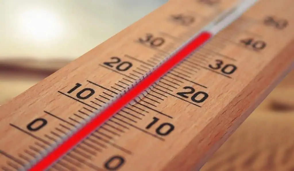 Sura Investment Management y los focos de su estrategia de inversión sostenible Cambio climático