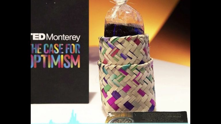 Oaxacanita Chocolate: el emprendimiento de México que transforma comunidades con cacao