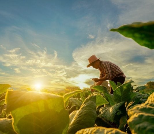 Bbva Colombia lanzó crédito sostenible para el agro
