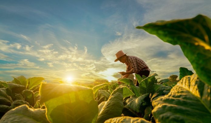 Bbva Colombia lanzó crédito sostenible para el agro