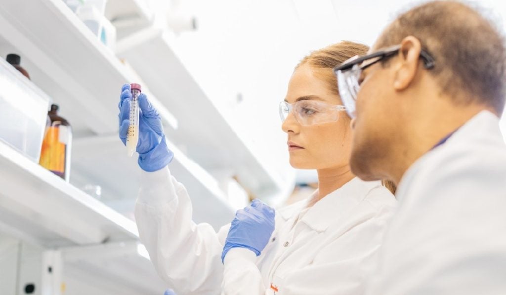 Avicanna patentará en Estados Unidos nueva formulación oral con cannabinoides