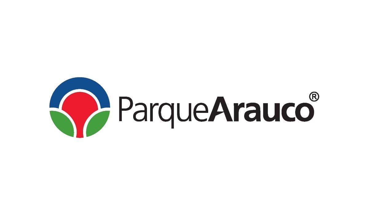 Home - Valora Analitik logo parque arauco