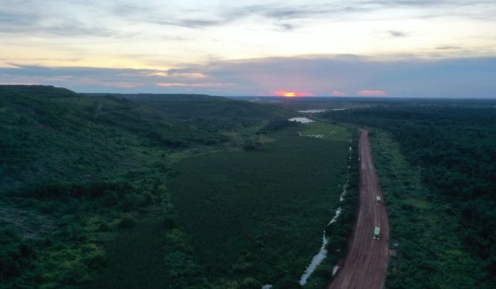 Drummond impulsa procesos de revegetalización y rehabilitación de áreas en Colombia