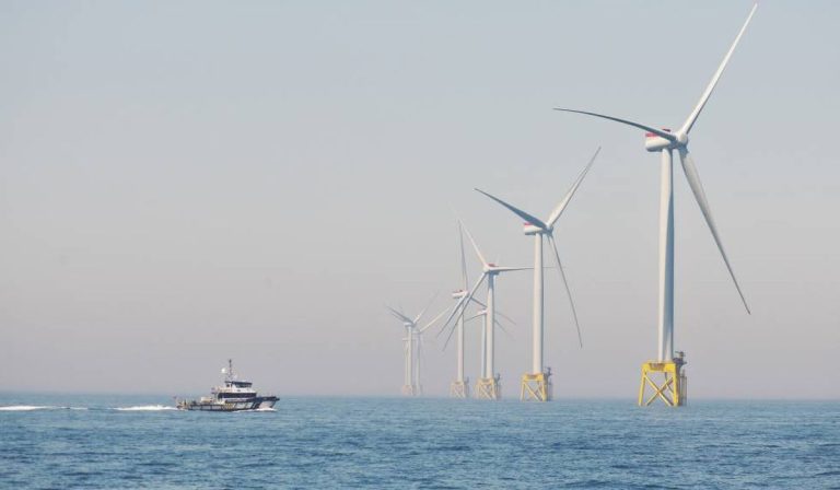 ANH habilitó preliminarmente a 8 empresas para la Ronda de Energía Eólica Costa Afuera