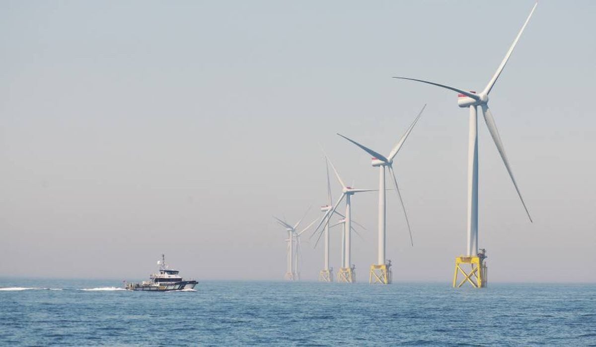 Colombia recibió solo una oferta en ronda de energía eólica costa afuera: ¿Qué provocó poco interés de inversionistas?