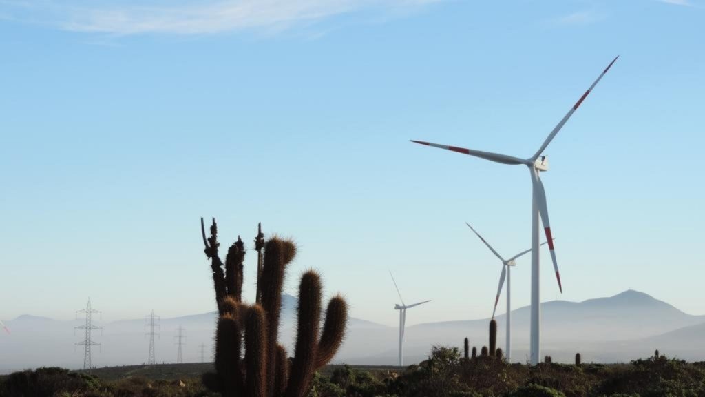 Eduardo Ricotta dirigirá a Vestas en América Latina; se impulsará la generación eólica