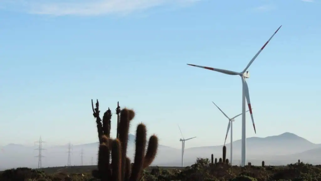 Eduardo Ricotta dirigirá a Vestas en América Latina; se impulsará la generación eólica Eduardo Ricotta dirigirá a Vestas en América Latina; se impulsará la generación eólica