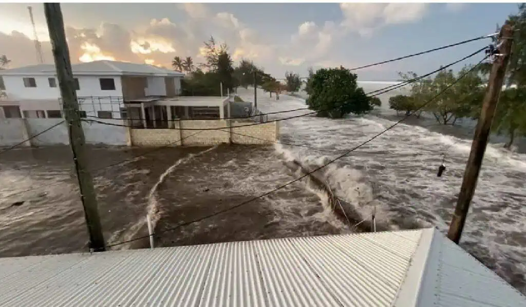 Emiten alerta de tsunami para Costa Oeste de EE.UU. Japón y Chile tras la erupción de volcán en Tonga Emiten alerta de tsunami para Costa Oeste de EE.UU. Japón y Chile tras la erupción de volcán en Tonga