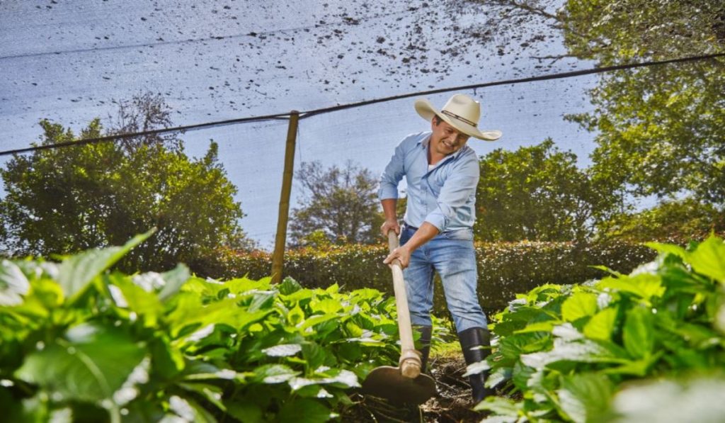 Los principales programas sociales de Bancolombia que impactan el campo y las ciudades del país
