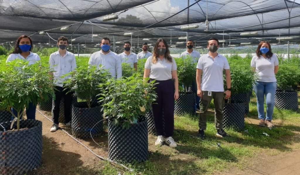 Avicanna prevé generar ingresos por US$7 millones en 2022
