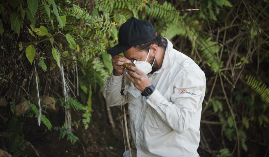 Entrevista | Minerales Córdoba iniciaría producción de cobre en Colombia en 2026