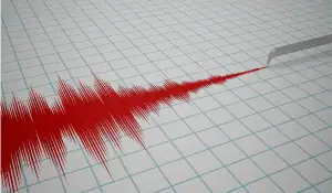 Home - Valora Analitik Sismo