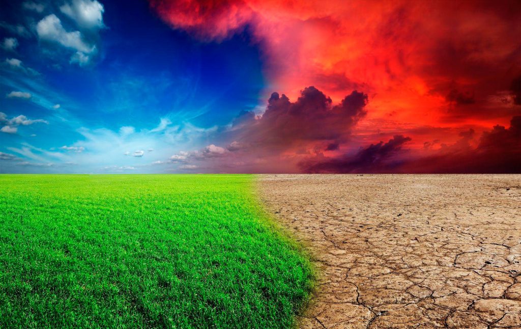 Ocho claves para contribuir en beneficio del cambio climático