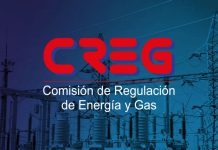 Comité de Expertos de la Comisión de Regulación de Emergía y Gas (CREG)