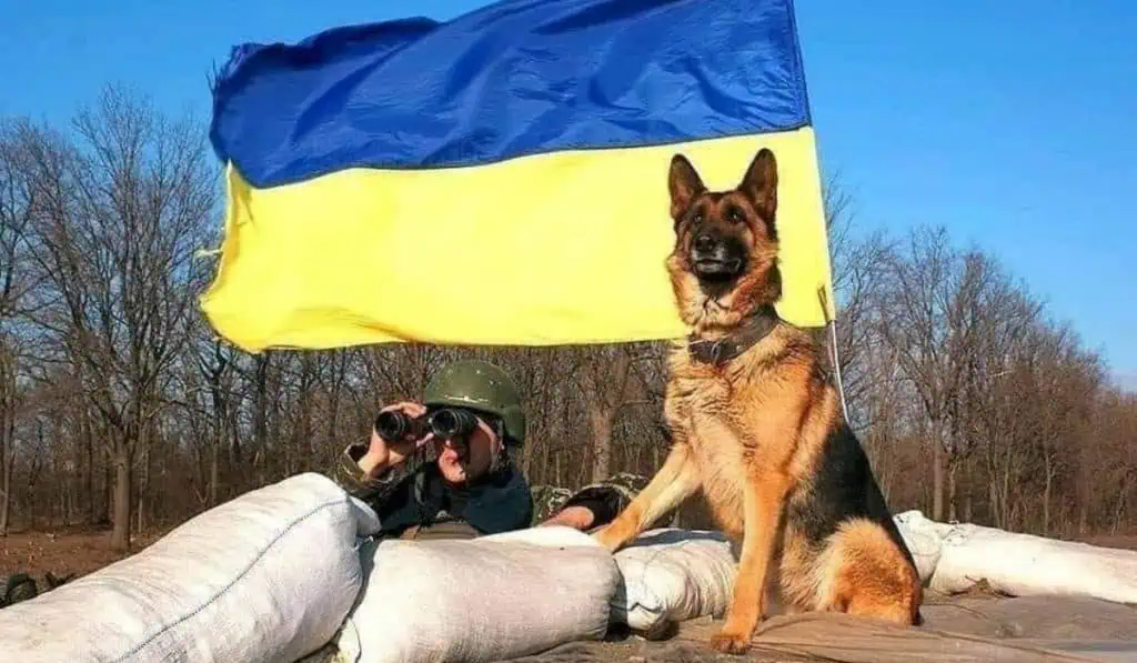 Guerra Rusia - Ucrania: así va el conflicto tras un mes de invasión Guerra Rusia - Ucrania: así va el conflicto tras un mes de invasión