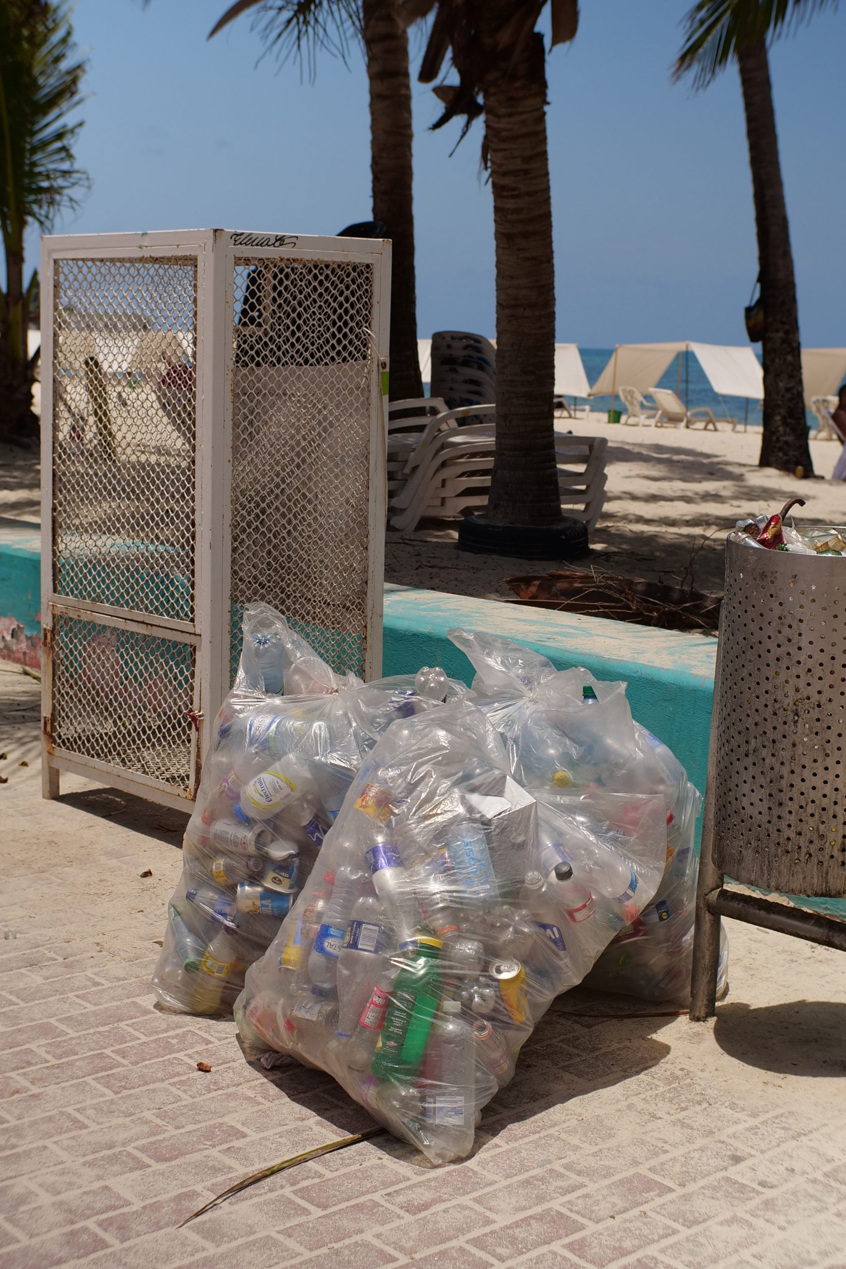 Reciclave ha aumentado en un 82% la recolección de materiales aprovechables en San Andrés y Providencia