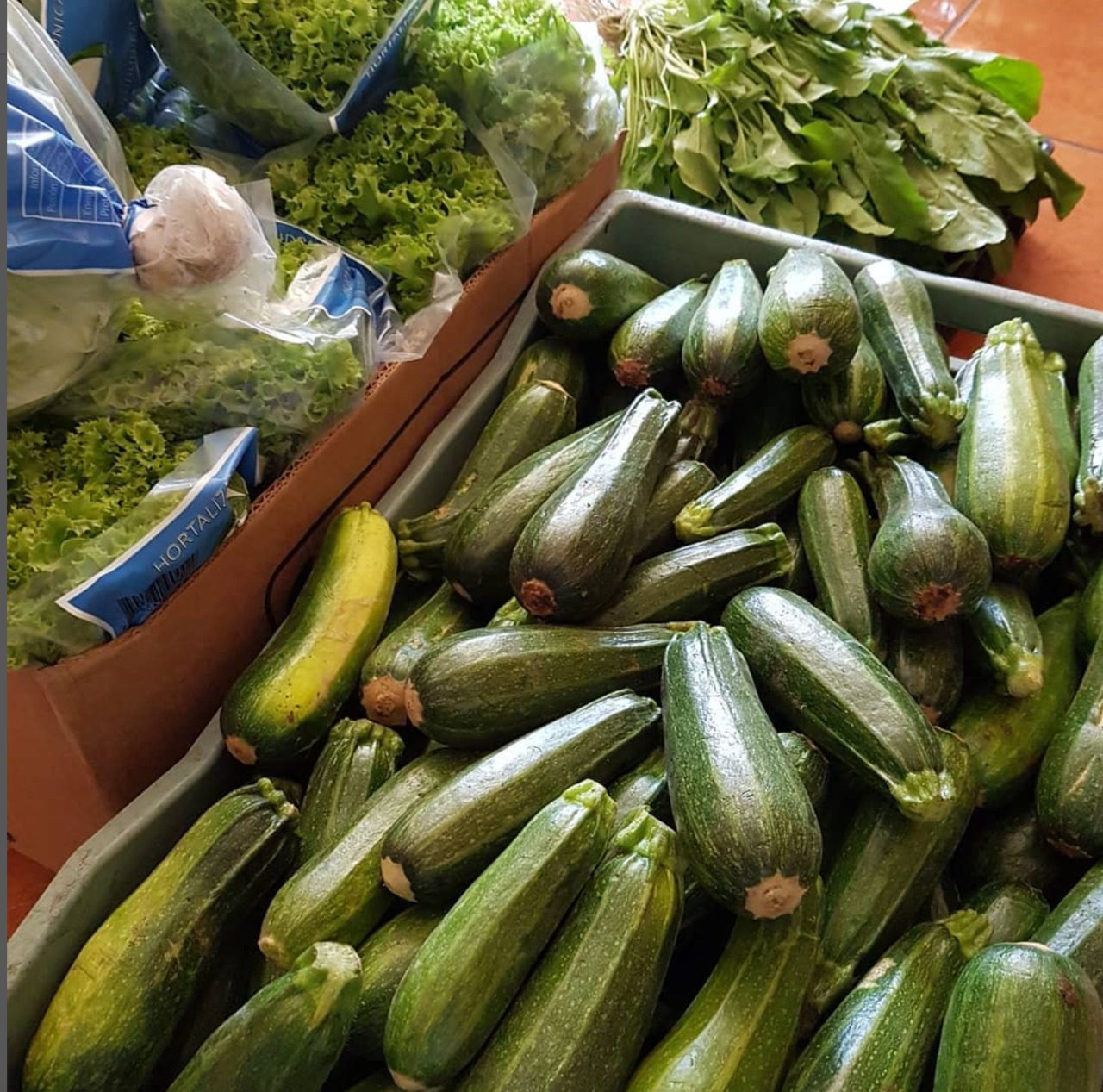ComeS conecta al productor con el consumidor, del campo a la mesa